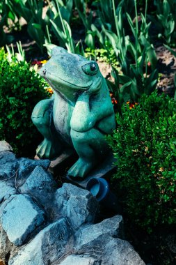 Güzel küçük yapay gölet kurbağa Çeşme kenar ve nilüferler ile. Peyzaj tasarımı.