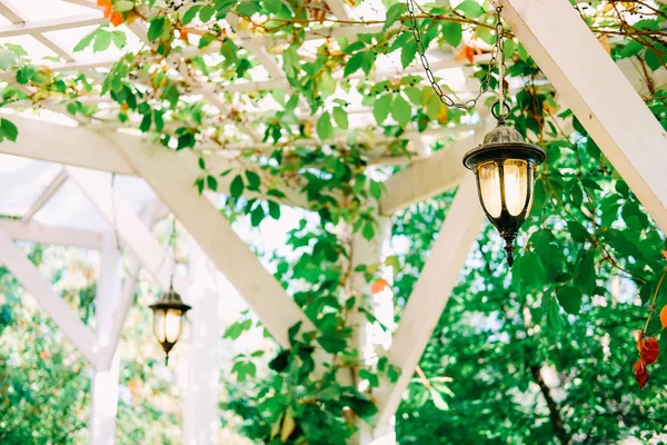 Lâmpada Bonita Jardim Livre Gazebo Branco Madeira — Fotografia de Stock