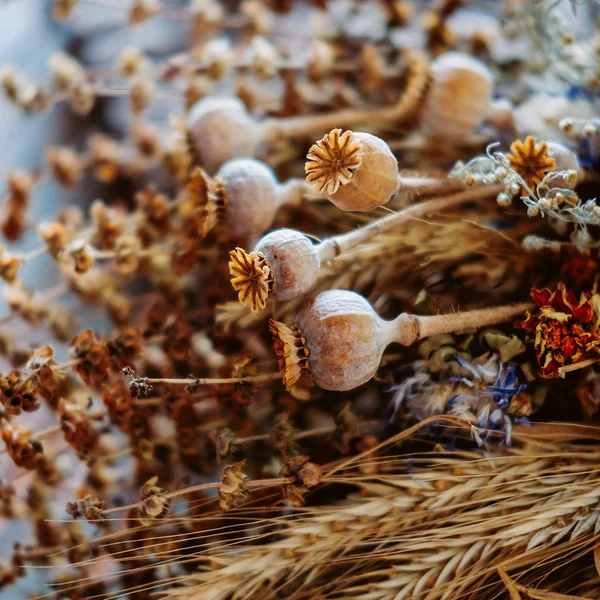 Dry Bouquet Traditional Herbs Flowers Transfiguration Christ Eastern European Orthdox — Stock Photo, Image