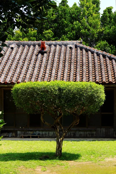 Scenario Del Giardino Una Vecchia Casa Privata Okinawa — Foto Stock