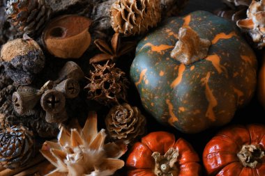 Cadılar Bayramı görüntüleri kabak dekorasyon