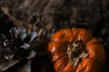 Cadılar Bayramı görüntüleri kabak dekorasyon