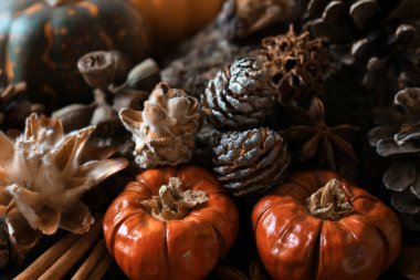 Cadılar Bayramı görüntüleri kabak dekorasyon