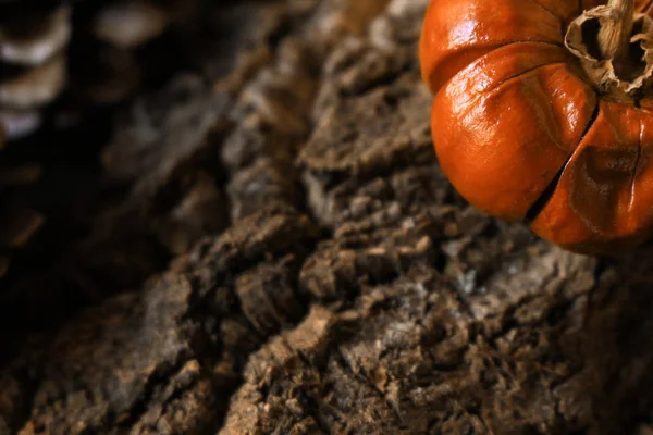 Cadılar Bayramı görüntüleri kabak dekorasyon