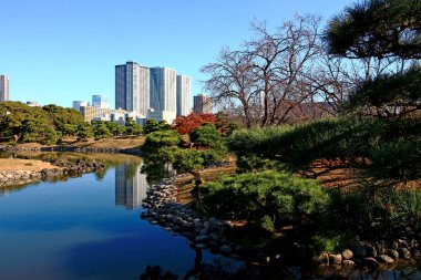 Japon bahçesinden görülen yüksek binalar