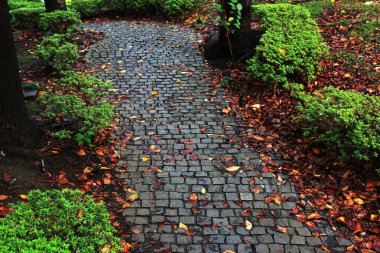 Islak Arnavut kaldırımlı geçit üzerinde düşen yapraklar