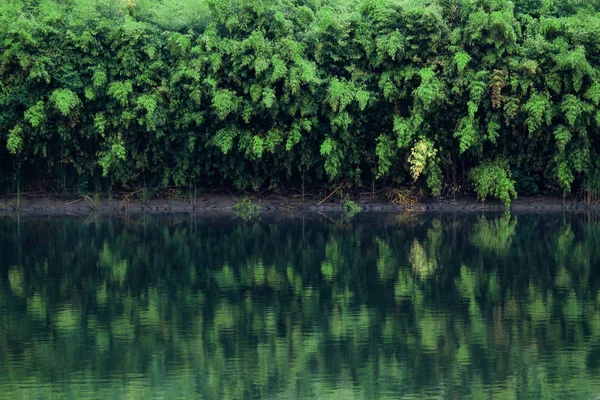 Ett Landskap Med Rik Vegetation Vattnet Avspeglas Ytan Vattnet — Stockfoto