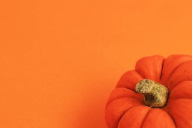 Turuncu arka plan ve Turuncu kabak