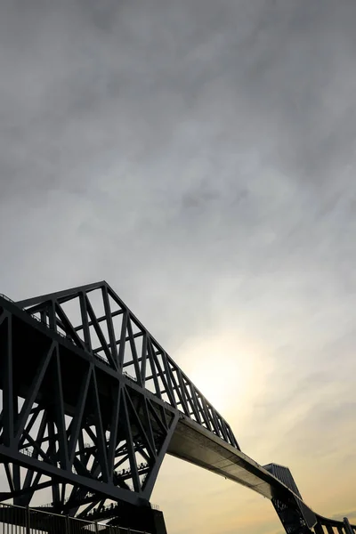 Pont Porte Tokyo Unifié Avec Des Couleurs Fraîches — Photo
