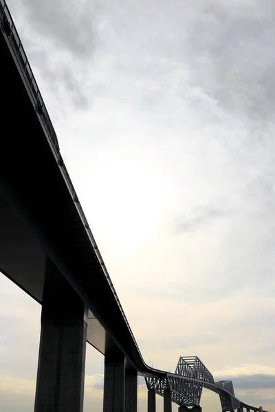 Pont Porte Tokyo Unifié Avec Des Couleurs Fraîches — Photo