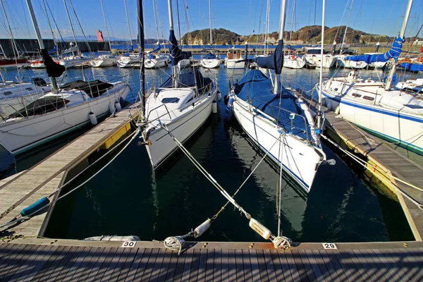 Scenery Yacht Harbor Lugna Havet Sommaren — Stockfoto