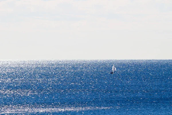 Світові Океани Вітрильні Човни — стокове фото