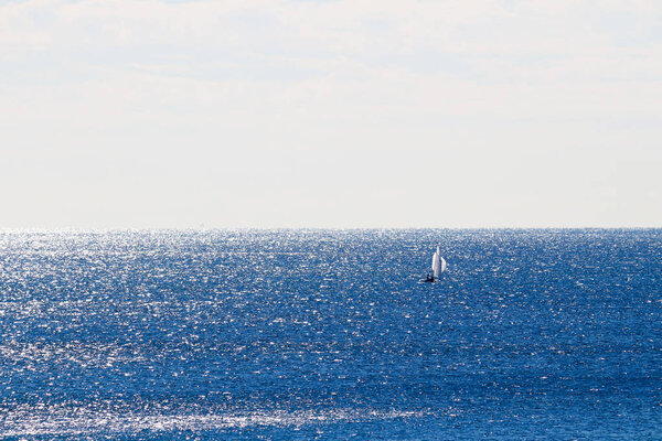 Vast oceans and sailboats