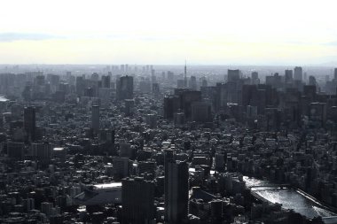 Gri tek renkli şehir Tokyo