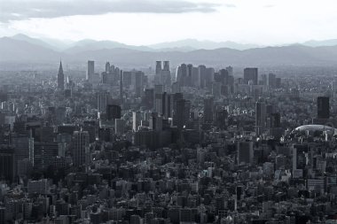 Gri tek renkli şehir Tokyo