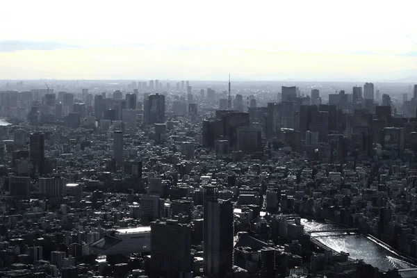 Grijs Monochroom Stad Tokio — Stockfoto