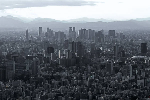 Città Monocromatica Grigia Tokyo — Foto Stock