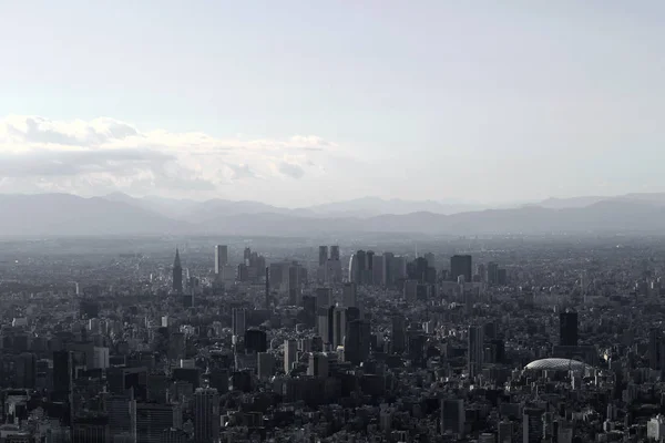 Grijs Monochroom Stad Tokio — Stockfoto