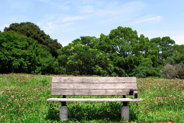 A bench in a steppe surrounded by forest