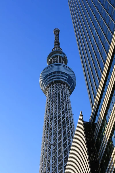 Ansicht Des Tokyo Sky Tree — Stockfoto