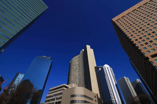 Scenérie Mrakodrapů Tokyo Shinjuku — Stock fotografie