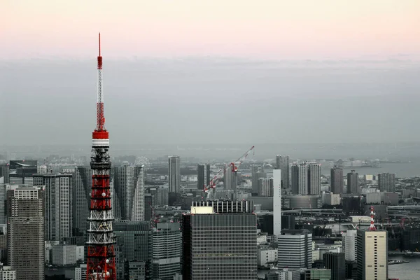 Tokyo Turm Und Tokyo Landschaft — Stockfoto