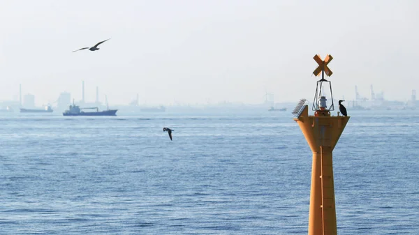 東京湾で黄色の灯台 — ストック写真