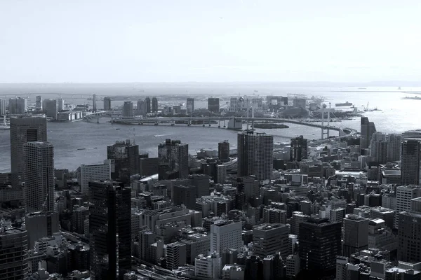 Veduta Aerea Dell Area Della Baia Tokyo — Foto Stock