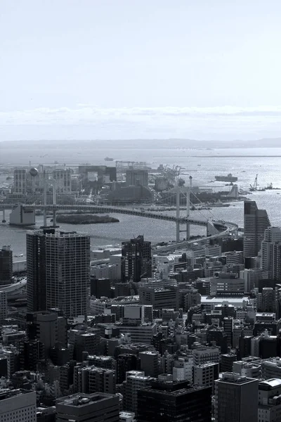 Aerial View Tokyo Bay Area — Stock Photo, Image