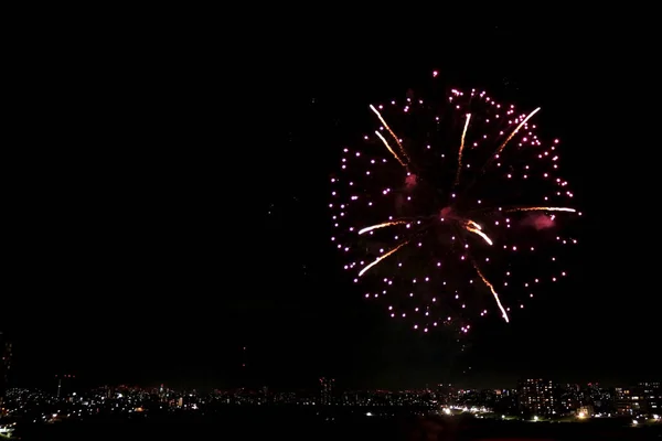 Fireworks rising in the night sky of the city