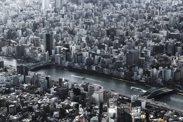 Een Panoramisch Uitzicht Sumidagawa Binnenstad Van Tokyo Gezien Vanaf Tokio — Stockfoto