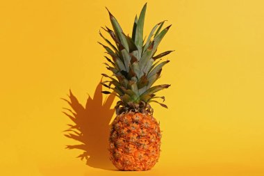 Ananas hala yaşam yaz hissetmek