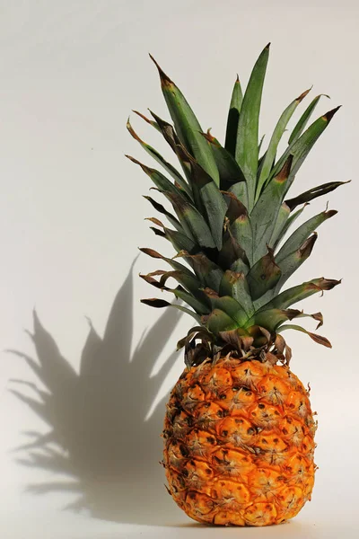 Pineapple still life to feel summer