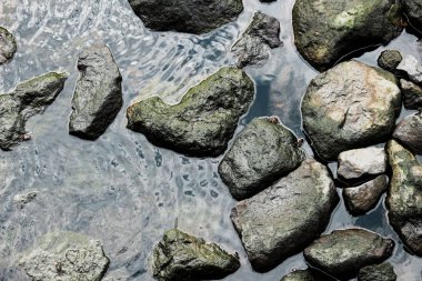 Sakin dalgalar ile kayalık bir koy