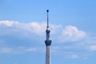 Tokyo Gökyüzü Ağacı mavi gökyüzünde