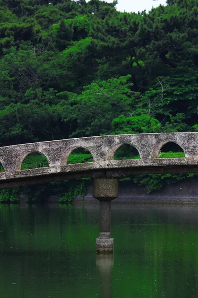 Ponte Cemento Sul Laghetto Nel Parco Futtsu Chiba — Foto Stock