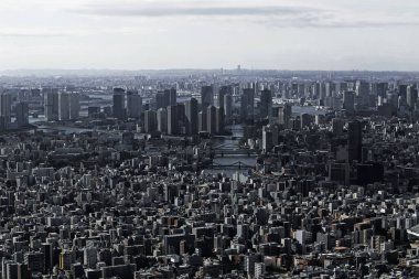 Tokyo Körfezi bölgesinin manzarası Tokyo Gökyüzü Ağacı 'nın gözlemevinden görüldüğü gibi.