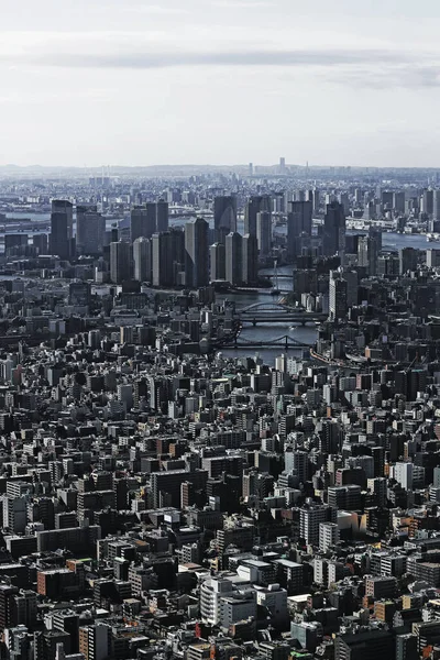 東京スカイツリーの展望台から見た東京湾周辺の風景 — ストック写真