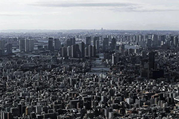 Landschap Van Het Tokio Bay Gebied Gezien Vanaf Het Observatorium — Stockfoto