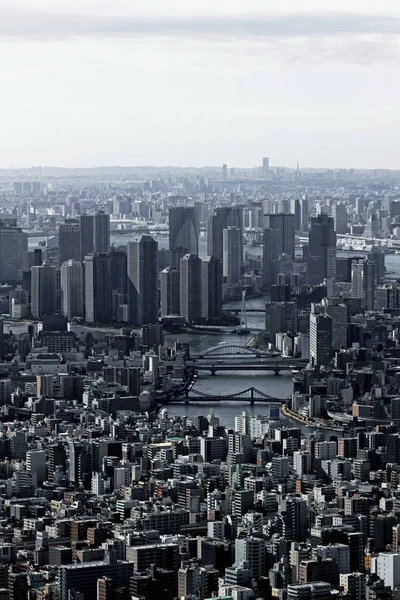 Landschap Van Het Tokio Bay Gebied Gezien Vanaf Het Observatorium — Stockfoto