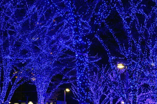Weihnachtsbeleuchtung Die Die Straßenbäume Der Stadt Schmückt — Stockfoto