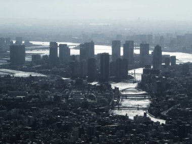 Tokyo rıhtımında sisli bir gökdelen manzarası.