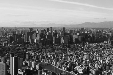 Marunouchi, Tokyo 'daki yüksek binaların tek renkli fotoğrafı.