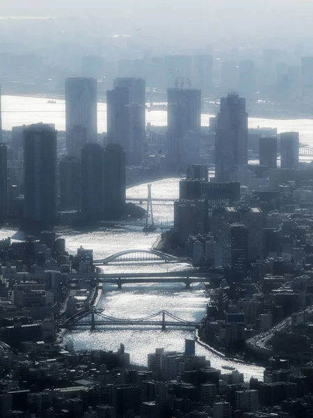 Över Skyskrapa Vid Tokyos Strand Med Dimma — Stockfoto