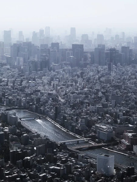 Paesaggio Della Città Vecchia Tokyo Dove Scorre Fiume Sumida Grattacieli — Foto Stock