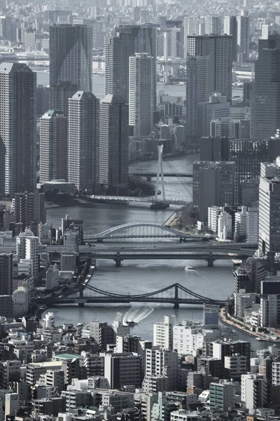 隅田川沿いの東京水辺には高層マンションが建ち並びます — ストック写真