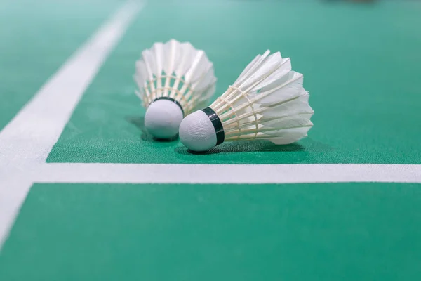 badminton raketle yeşil sahada.