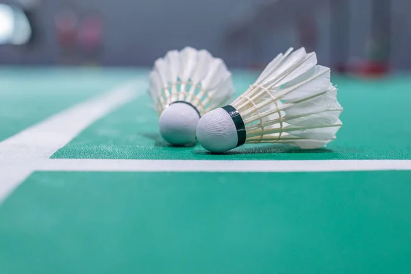 badminton raketle yeşil sahada.