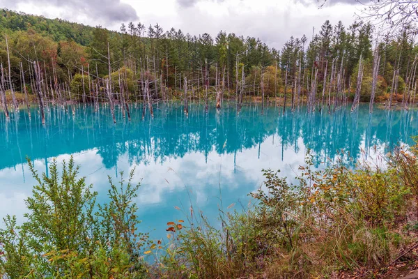 Biei, Hokkaido Japonya'da mavi su birikintisi.
