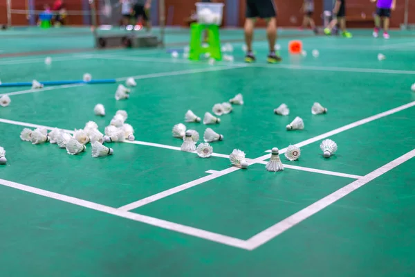 badminton raketle yeşil sahada beyaz çizgi ile.